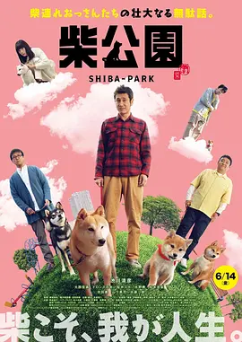 超级97人人公开视频