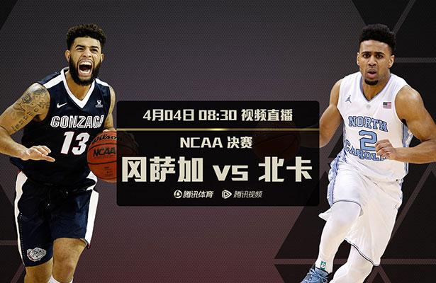 老师你的兔子好软水好作文免费阅读