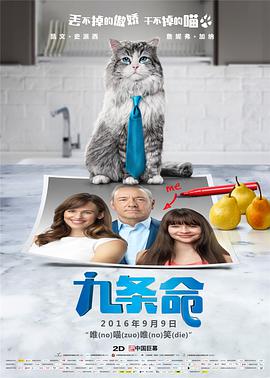阿拉斯加北极熊2020