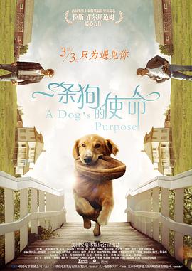 久久午夜羞羞影院免费观看