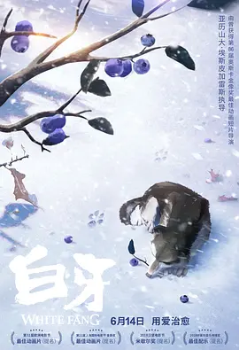 韩国电影成人