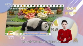 国产香蕉在线视频